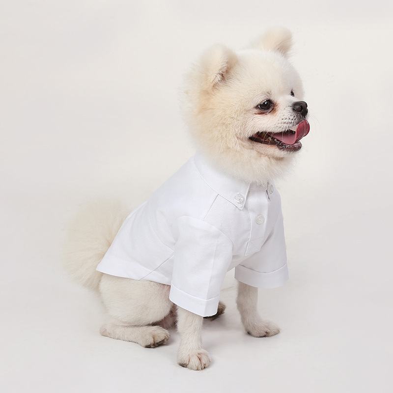 Chemises à bascule pour animau - Summer Dog Clothing avis et prix