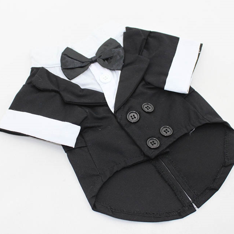Chemise pour chien, vêtements  - Summer Dog Clothing avis et prix