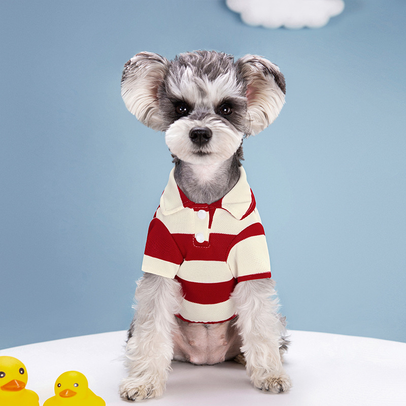 Polo pour chien, vêtements d'é - Summer Dog Clothing avis et prix