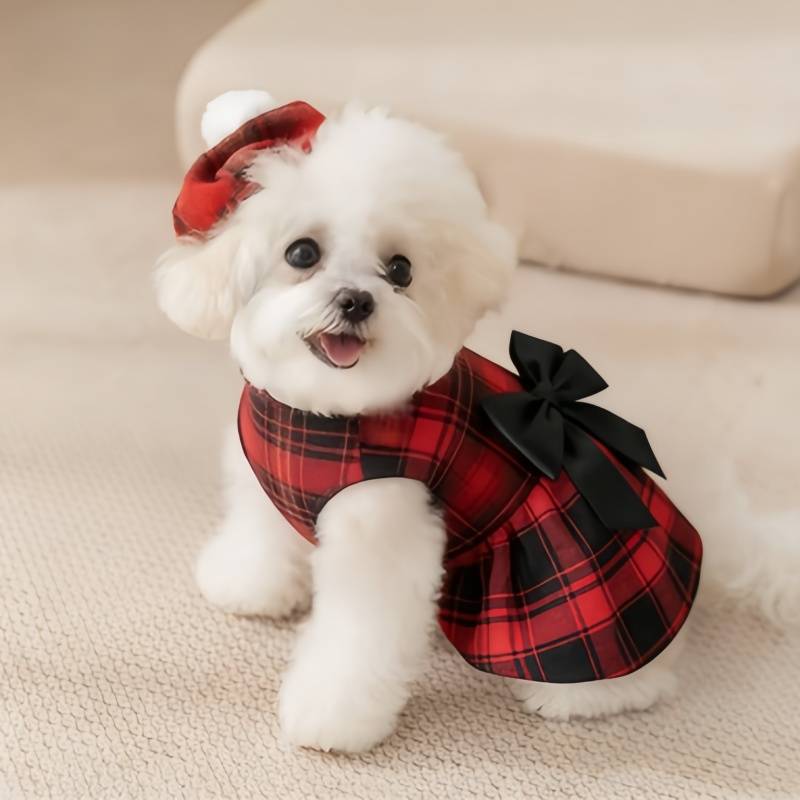 Vêtements pour chiens de compa - Summer Dog Clothing avis et prix