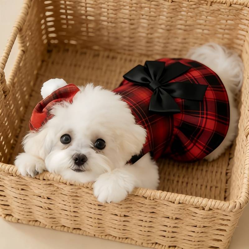 Vêtements pour chiens de compa - Summer Dog Clothing avis et prix