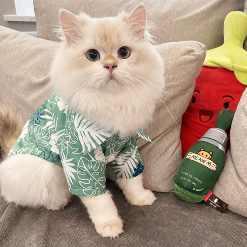 Chemise d'été hawaïenne pour c - Summer Dog Clothing avis et prix