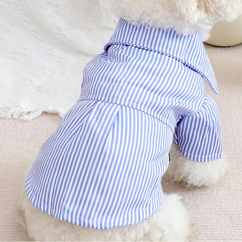 Chemise à rayures Bowvétérans  - Summer Dog Clothing avis et prix